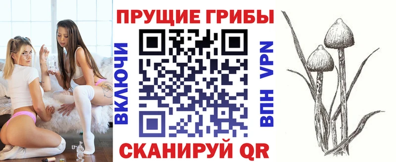 где найти наркотики  Отрадное  Псилоцибиновые грибы мицелий 